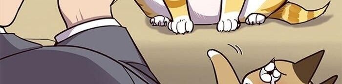 Hoá Thân Thành Mèo Chapter 38 - Trang 2