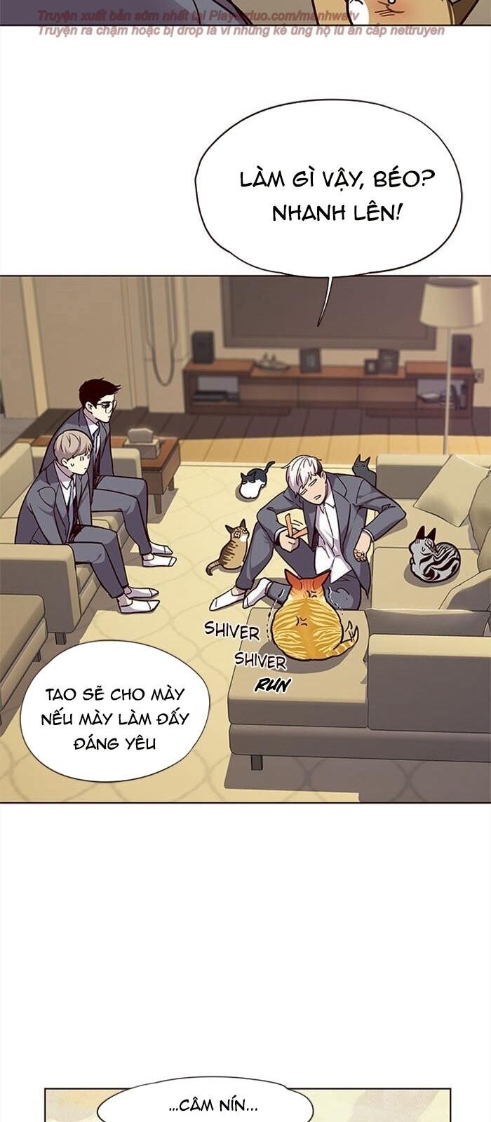 Hoá Thân Thành Mèo Chapter 38 - Trang 2