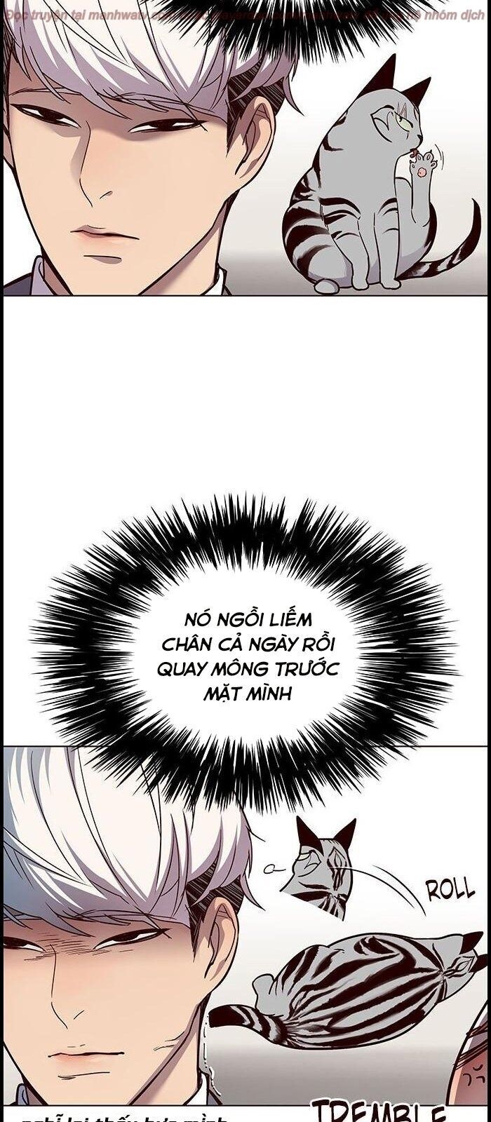 Hoá Thân Thành Mèo Chapter 39 - Trang 2