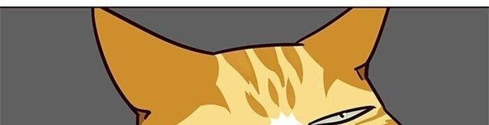 Hoá Thân Thành Mèo Chapter 39 - Trang 2