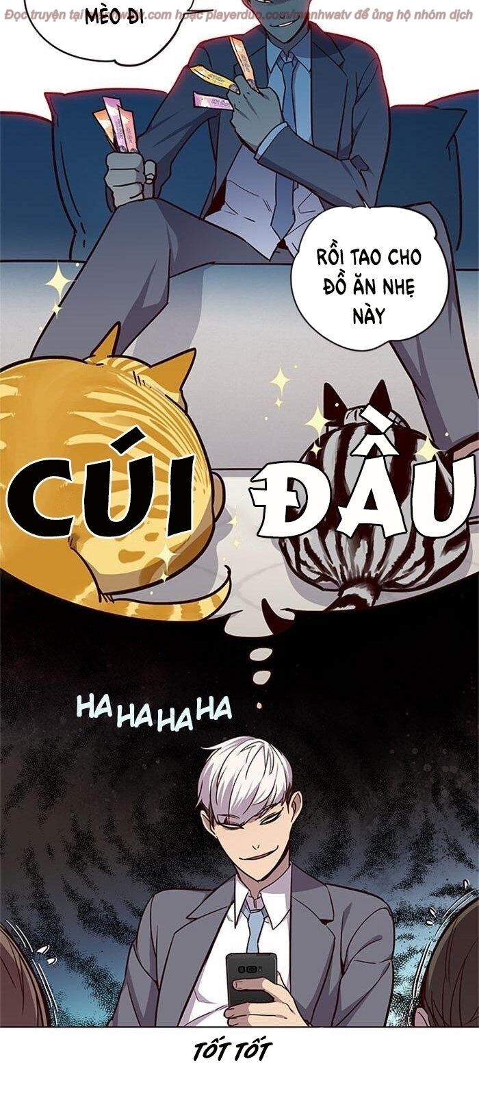 Hoá Thân Thành Mèo Chapter 39 - Trang 2