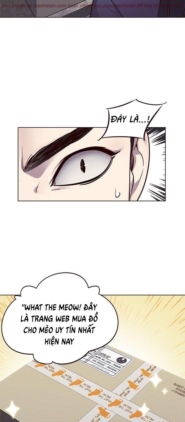 Hoá Thân Thành Mèo Chapter 39 - Trang 2