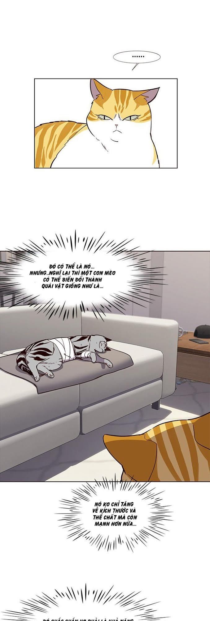 Hoá Thân Thành Mèo Chapter 4 - Trang 2