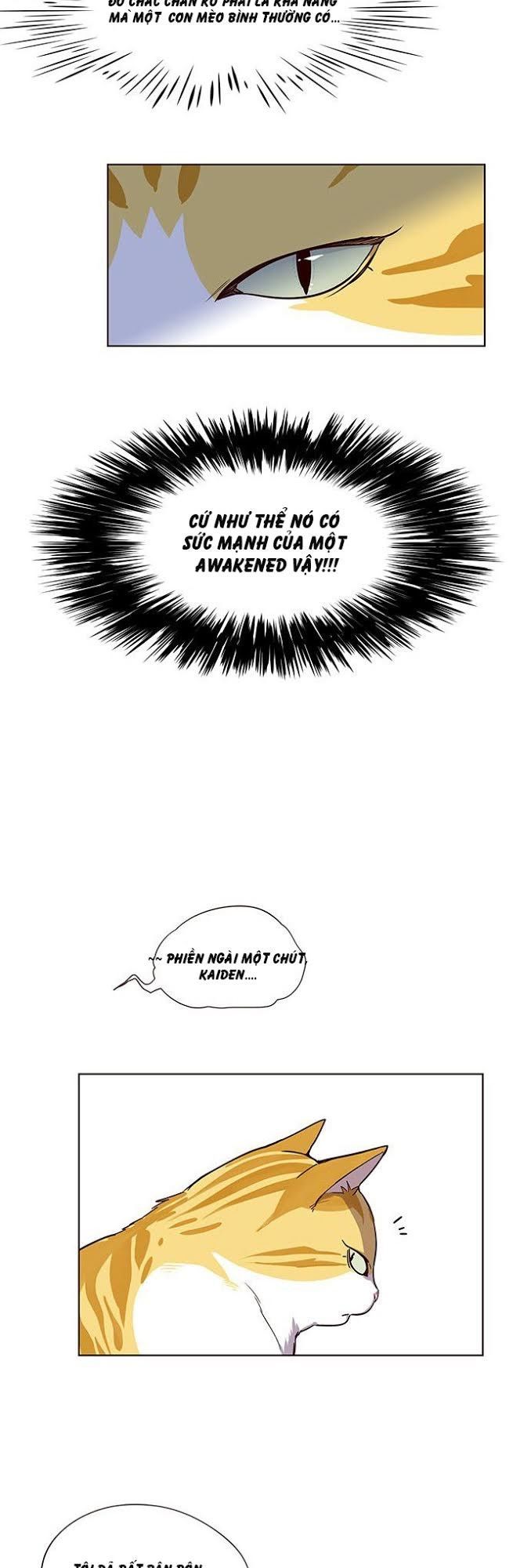 Hoá Thân Thành Mèo Chapter 4 - Trang 2