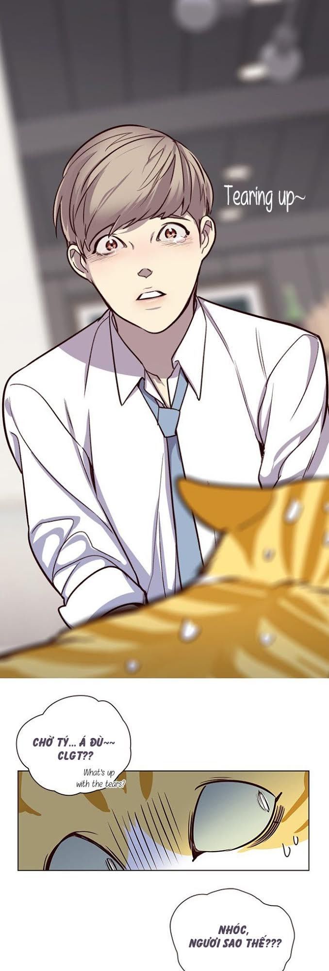 Hoá Thân Thành Mèo Chapter 4 - Trang 2