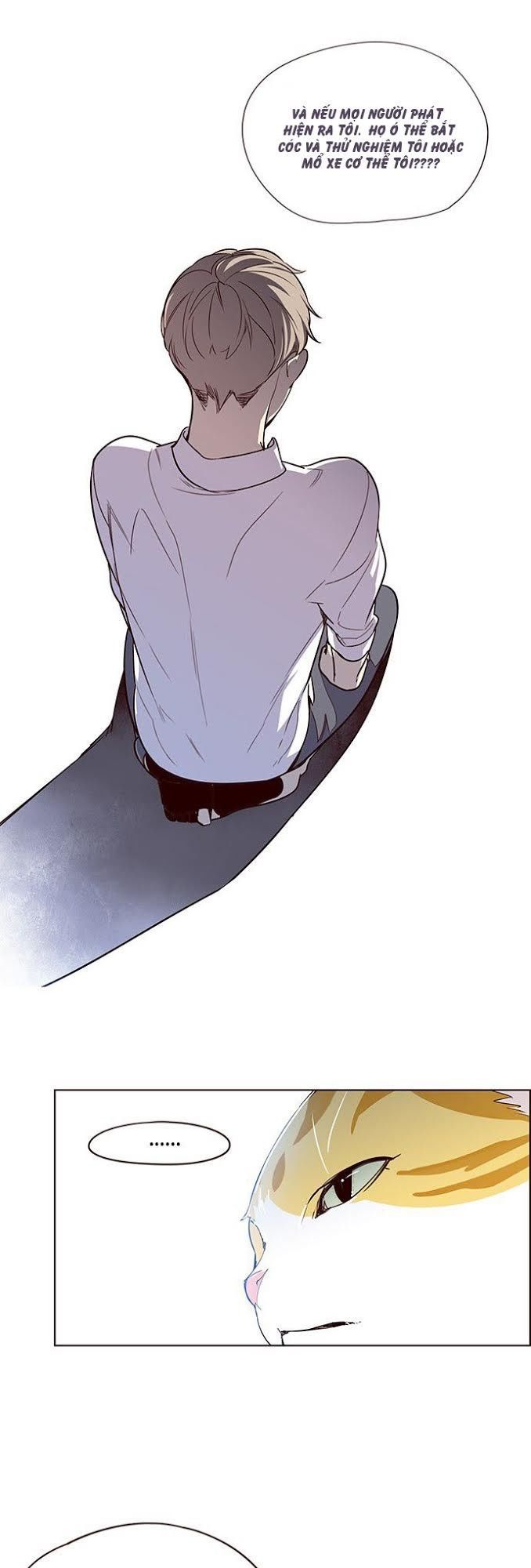 Hoá Thân Thành Mèo Chapter 4 - Trang 2