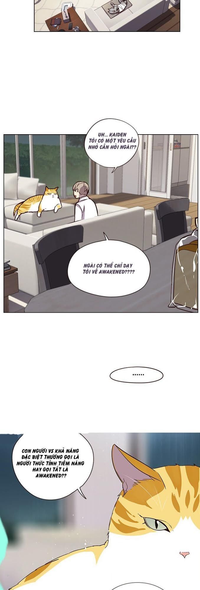 Hoá Thân Thành Mèo Chapter 4 - Trang 2