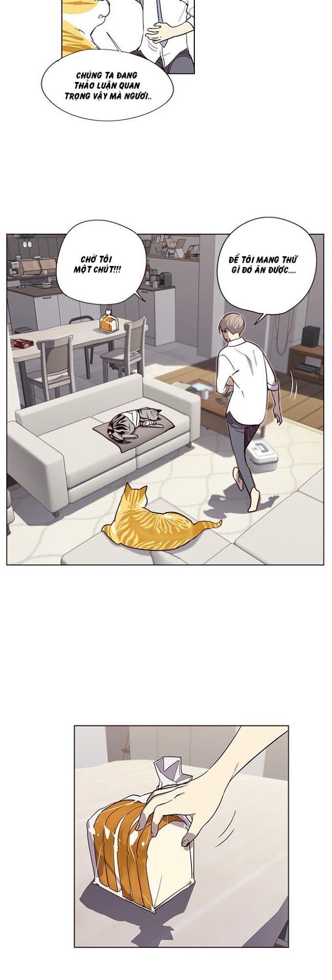 Hoá Thân Thành Mèo Chapter 4 - Trang 2