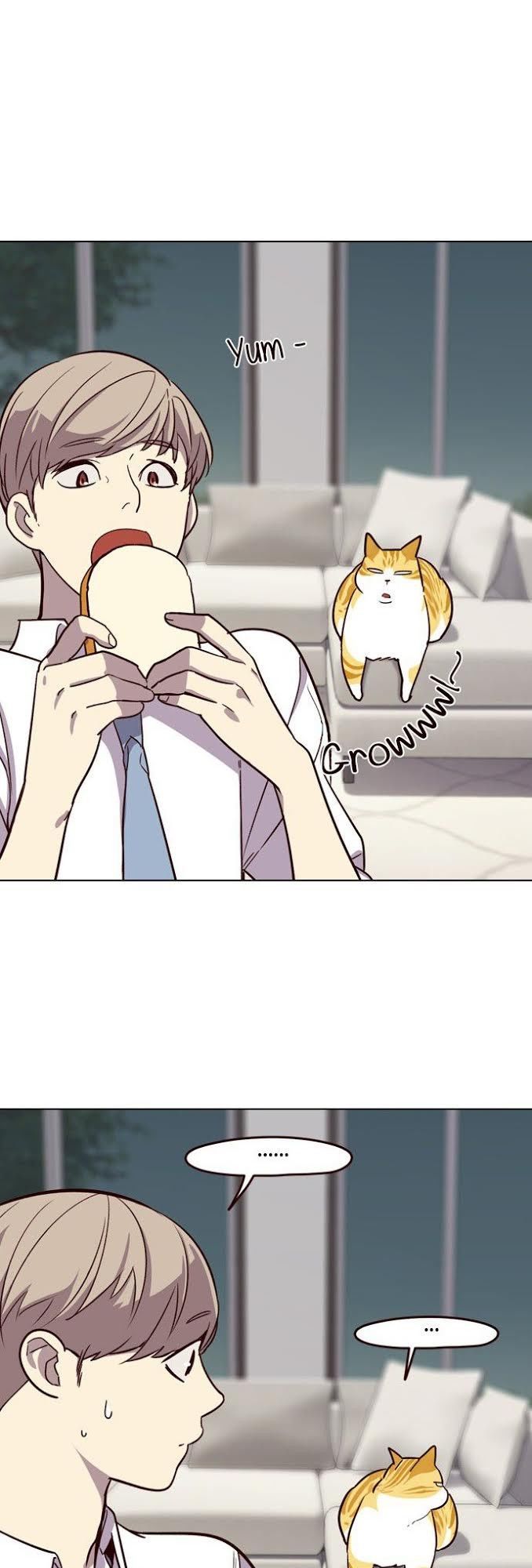 Hoá Thân Thành Mèo Chapter 4 - Trang 2