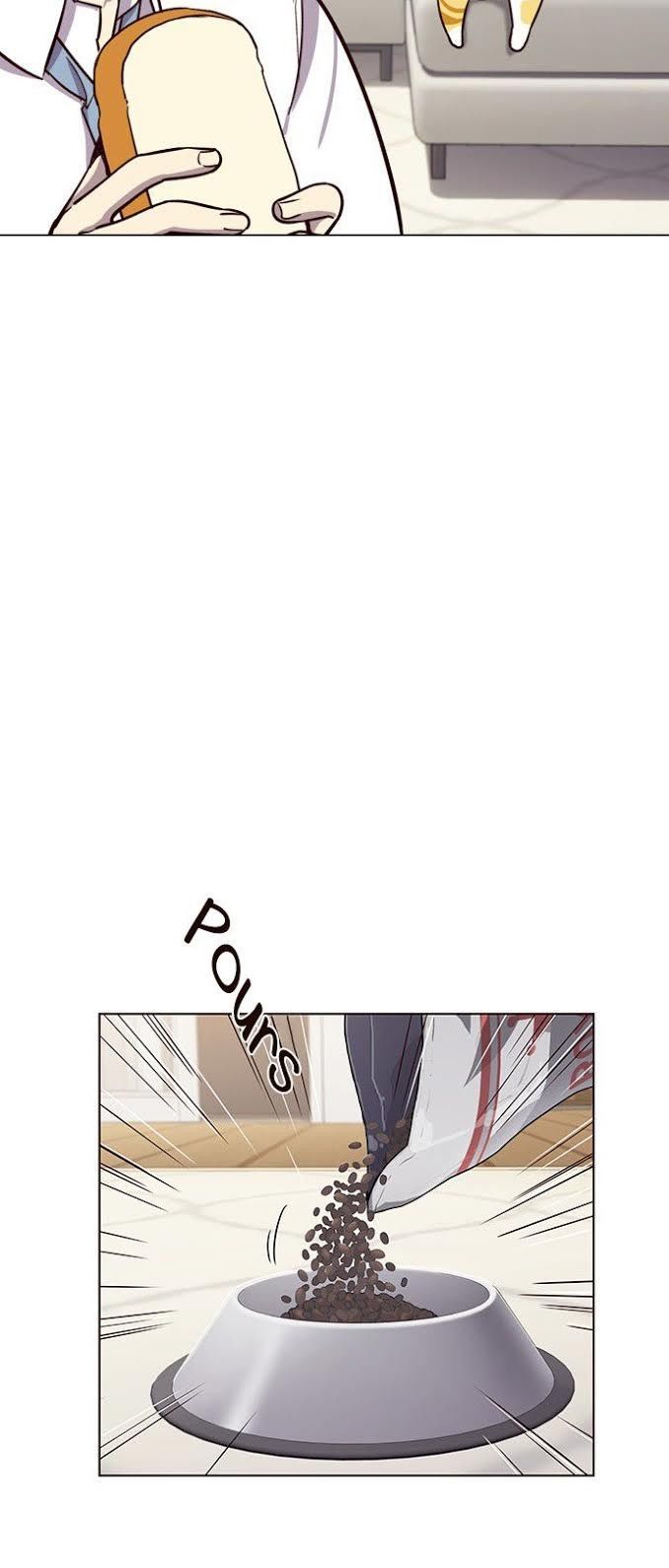 Hoá Thân Thành Mèo Chapter 4 - Trang 2