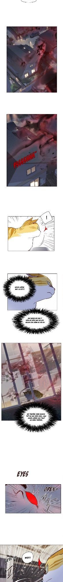 Hoá Thân Thành Mèo Chapter 4 - Trang 2