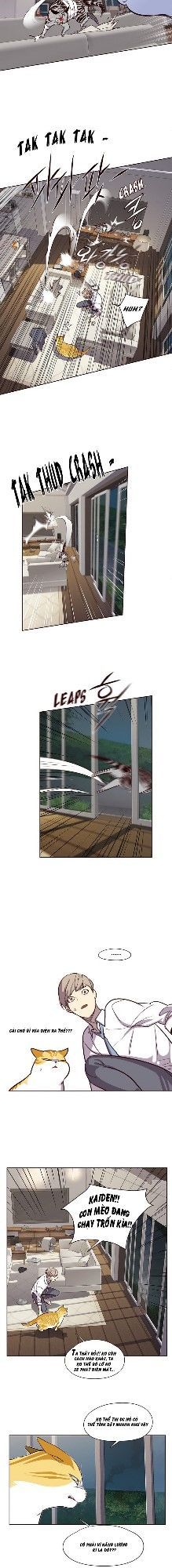 Hoá Thân Thành Mèo Chapter 4 - Trang 2