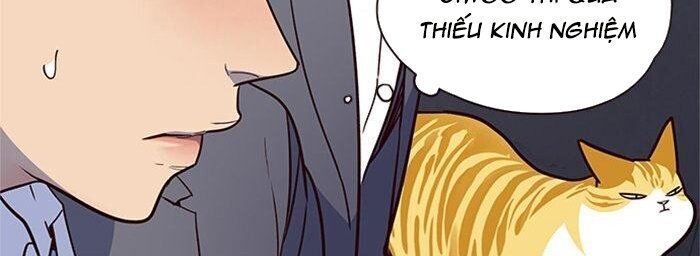 Hoá Thân Thành Mèo Chapter 42 - Trang 2