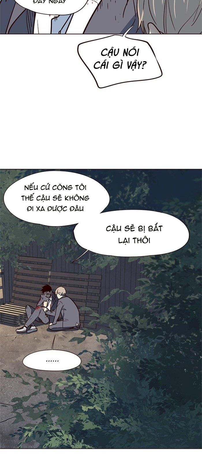 Hoá Thân Thành Mèo Chapter 42 - Trang 2