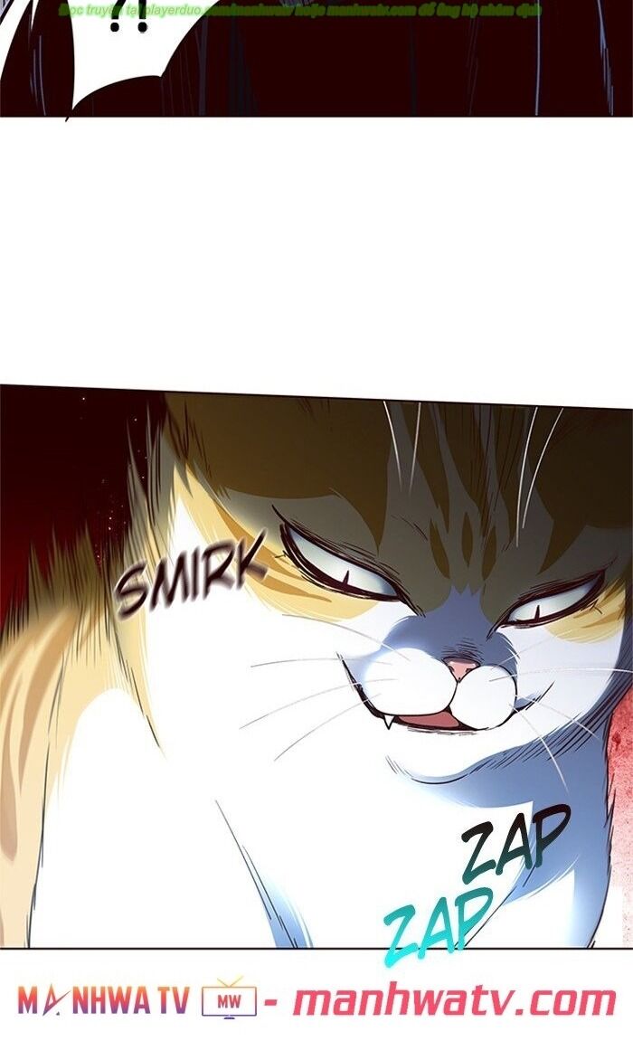 Hoá Thân Thành Mèo Chapter 43 - Trang 2