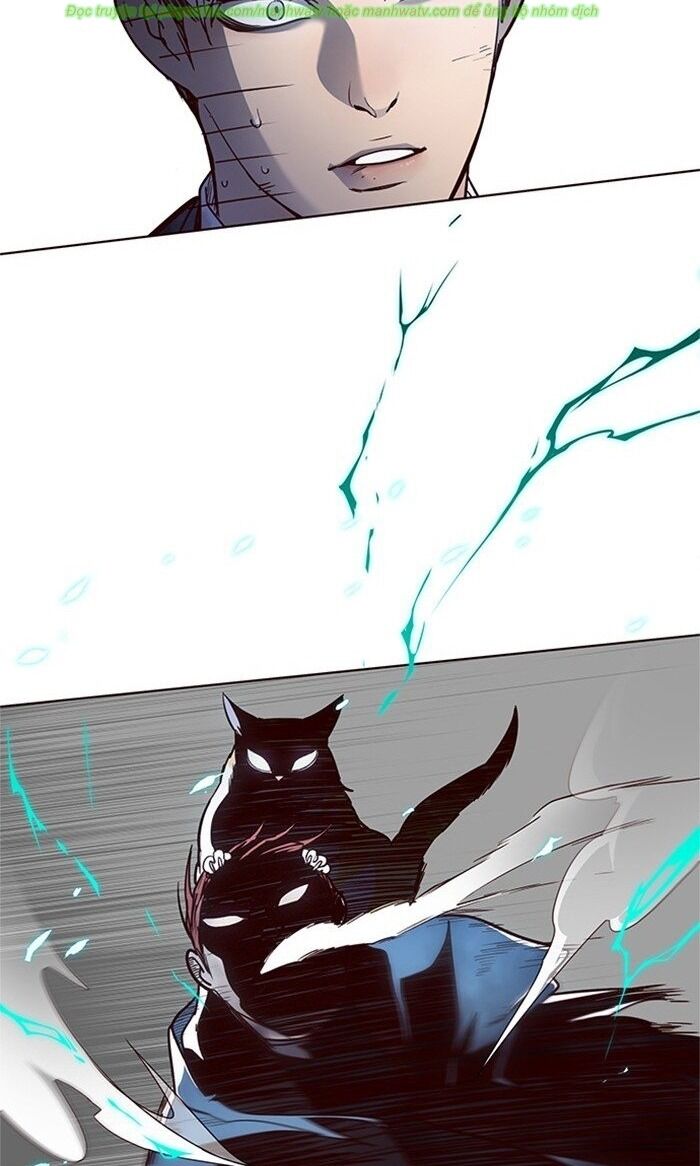 Hoá Thân Thành Mèo Chapter 43 - Trang 2