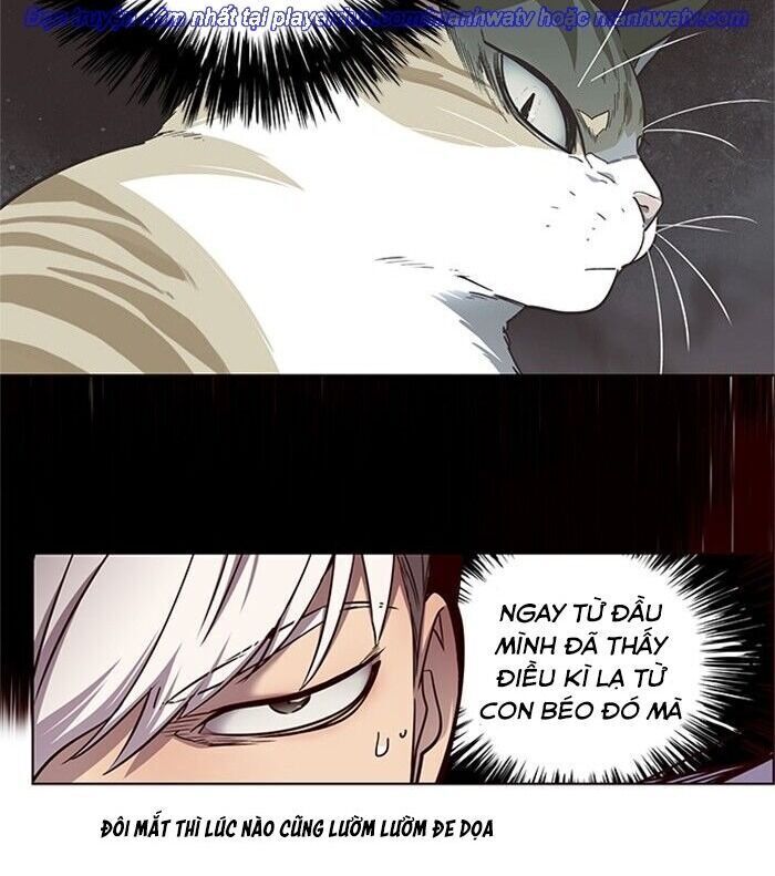 Hoá Thân Thành Mèo Chapter 46 - Trang 2