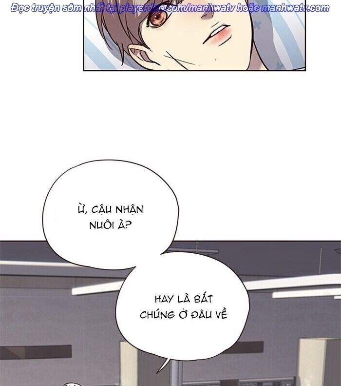 Hoá Thân Thành Mèo Chapter 46 - Trang 2