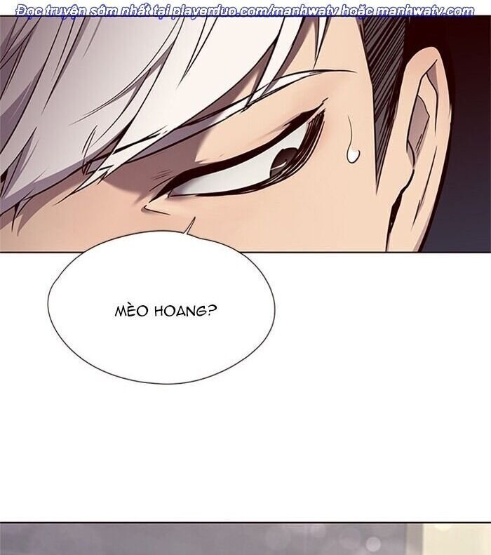 Hoá Thân Thành Mèo Chapter 46 - Trang 2