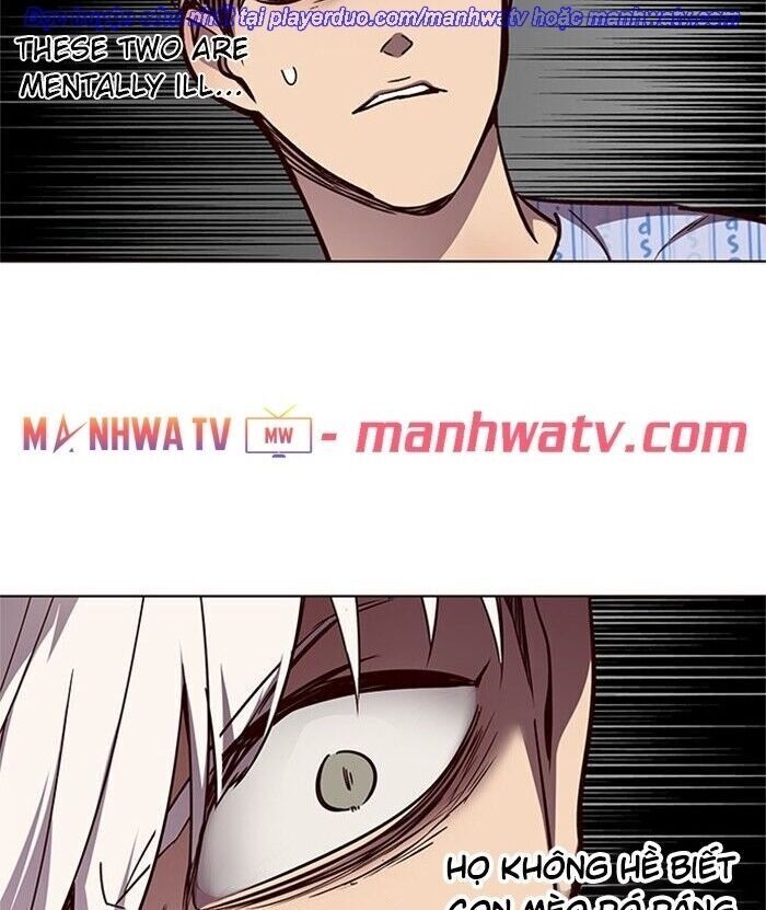 Hoá Thân Thành Mèo Chapter 46 - Trang 2