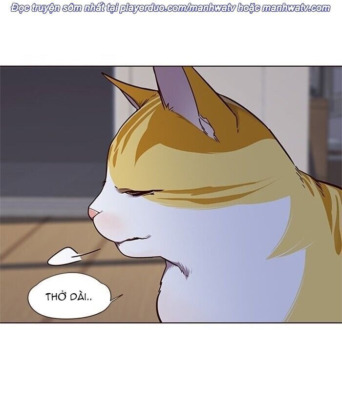 Hoá Thân Thành Mèo Chapter 46 - Trang 2