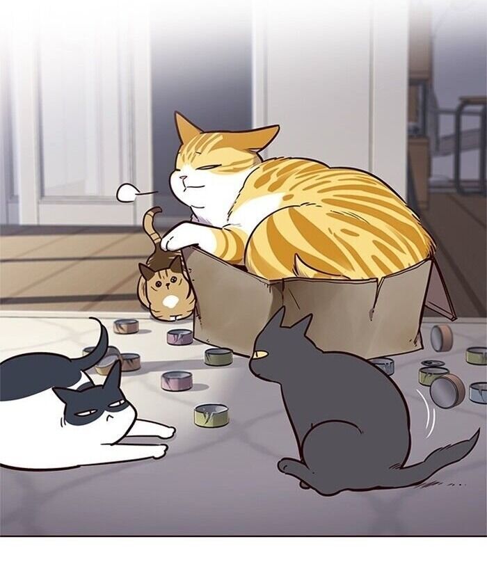 Hoá Thân Thành Mèo Chapter 46 - Trang 2