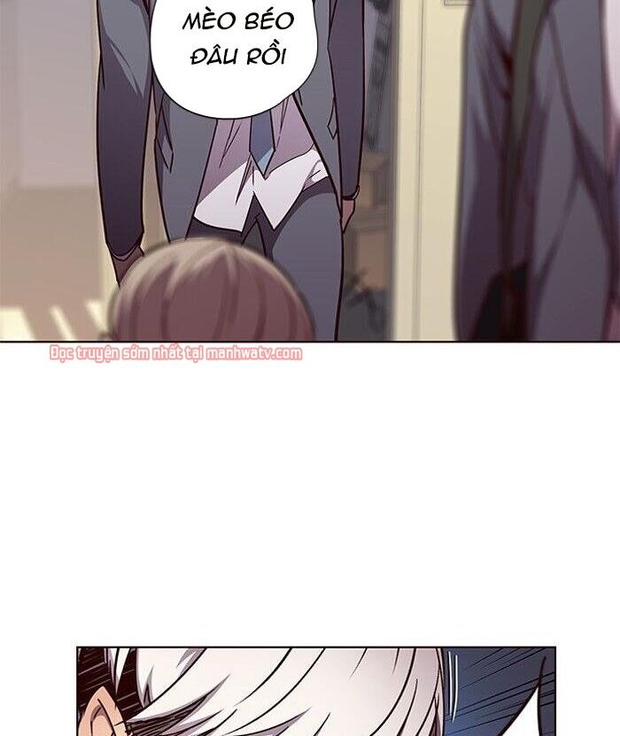 Hoá Thân Thành Mèo Chapter 49 - Trang 2