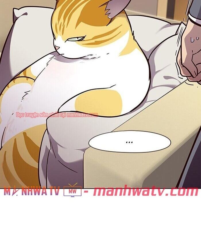 Hoá Thân Thành Mèo Chapter 49 - Trang 2