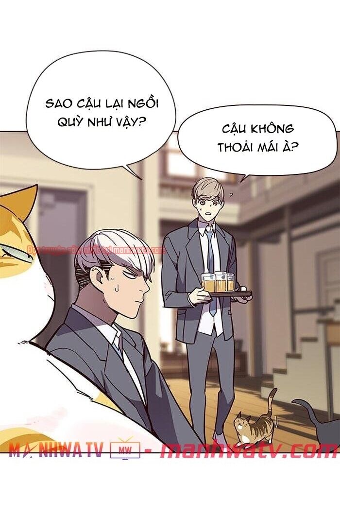 Hoá Thân Thành Mèo Chapter 49 - Trang 2