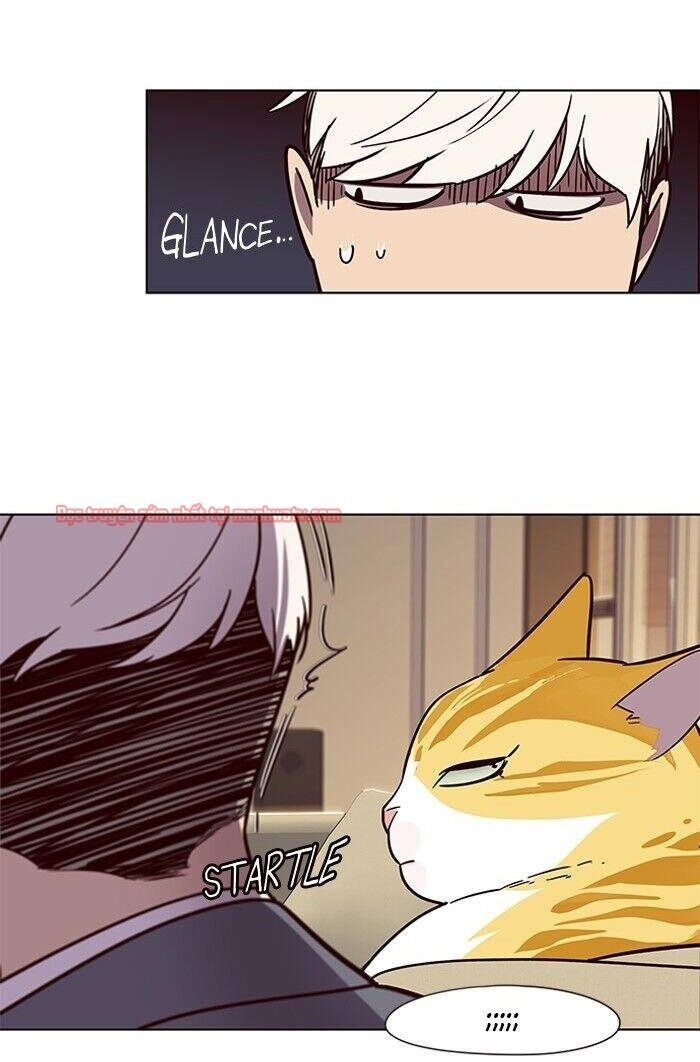 Hoá Thân Thành Mèo Chapter 49 - Trang 2