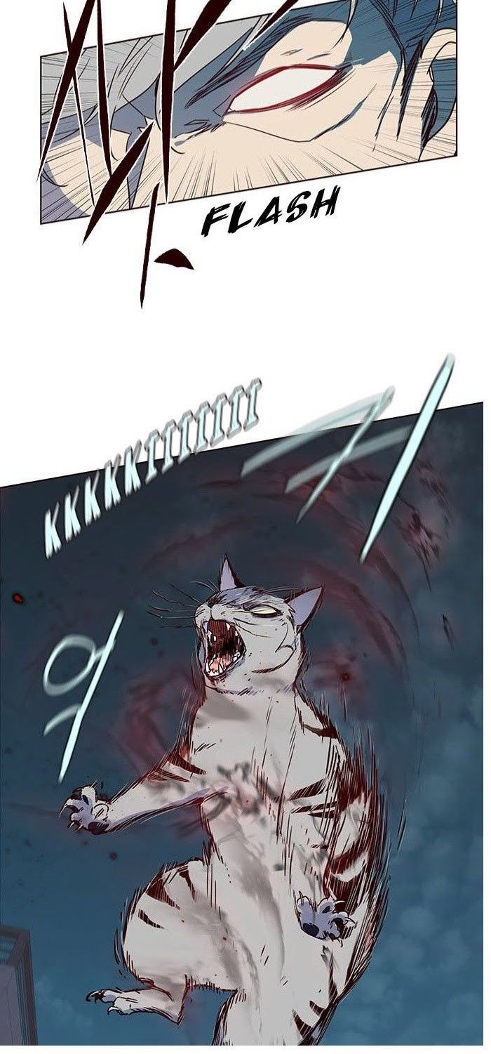 Hoá Thân Thành Mèo Chapter 5 - Trang 2