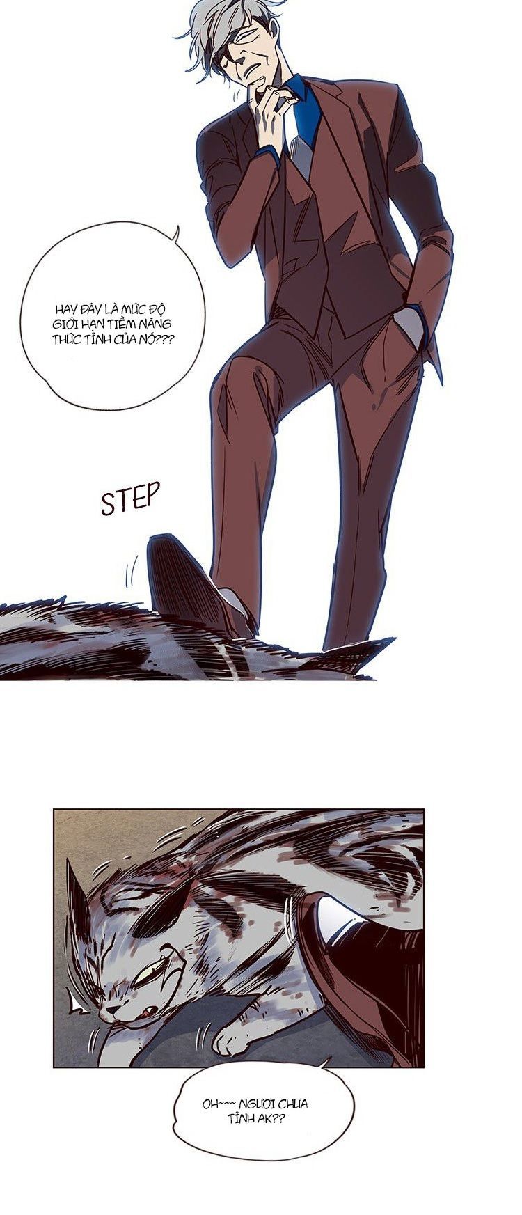 Hoá Thân Thành Mèo Chapter 5 - Trang 2