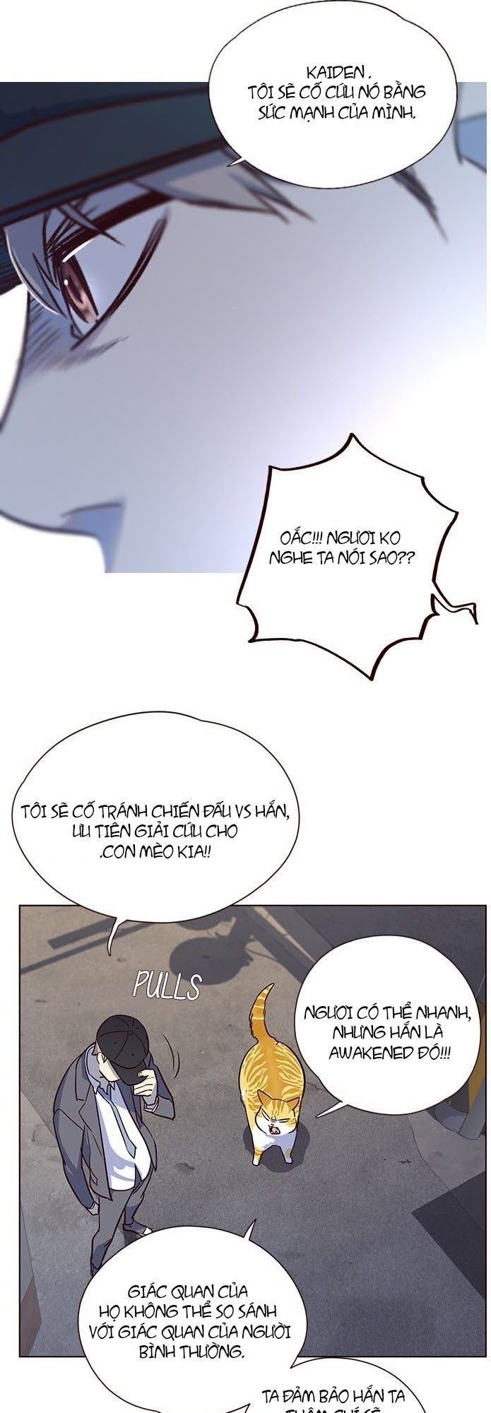 Hoá Thân Thành Mèo Chapter 5 - Trang 2