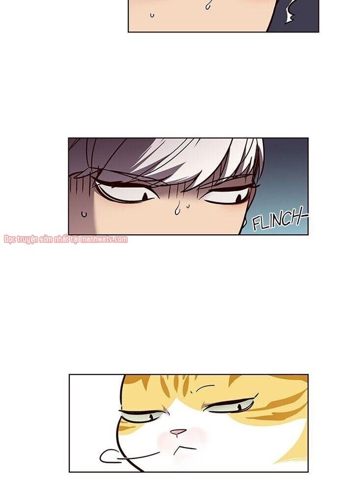 Hoá Thân Thành Mèo Chapter 50 - Trang 2