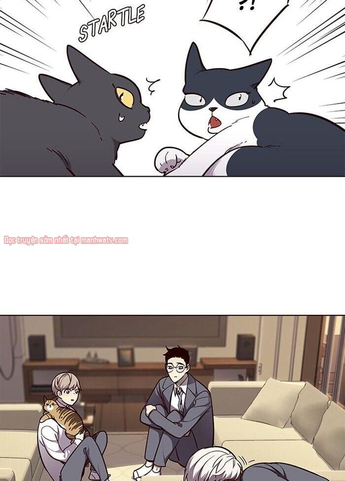 Hoá Thân Thành Mèo Chapter 50 - Trang 2