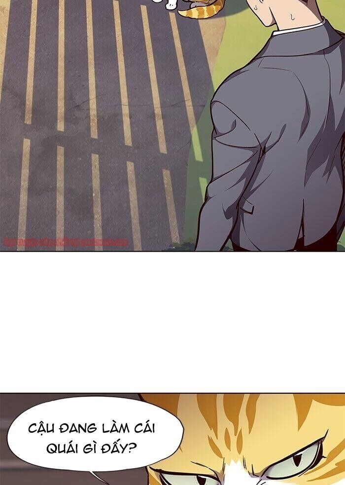 Hoá Thân Thành Mèo Chapter 50 - Trang 2