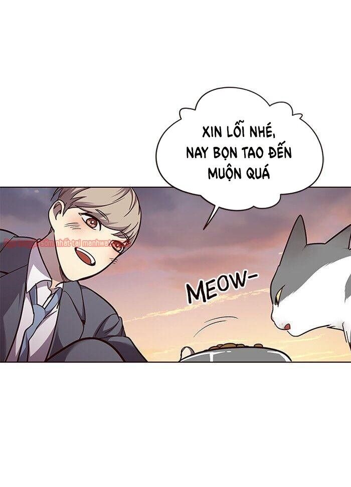 Hoá Thân Thành Mèo Chapter 50 - Trang 2