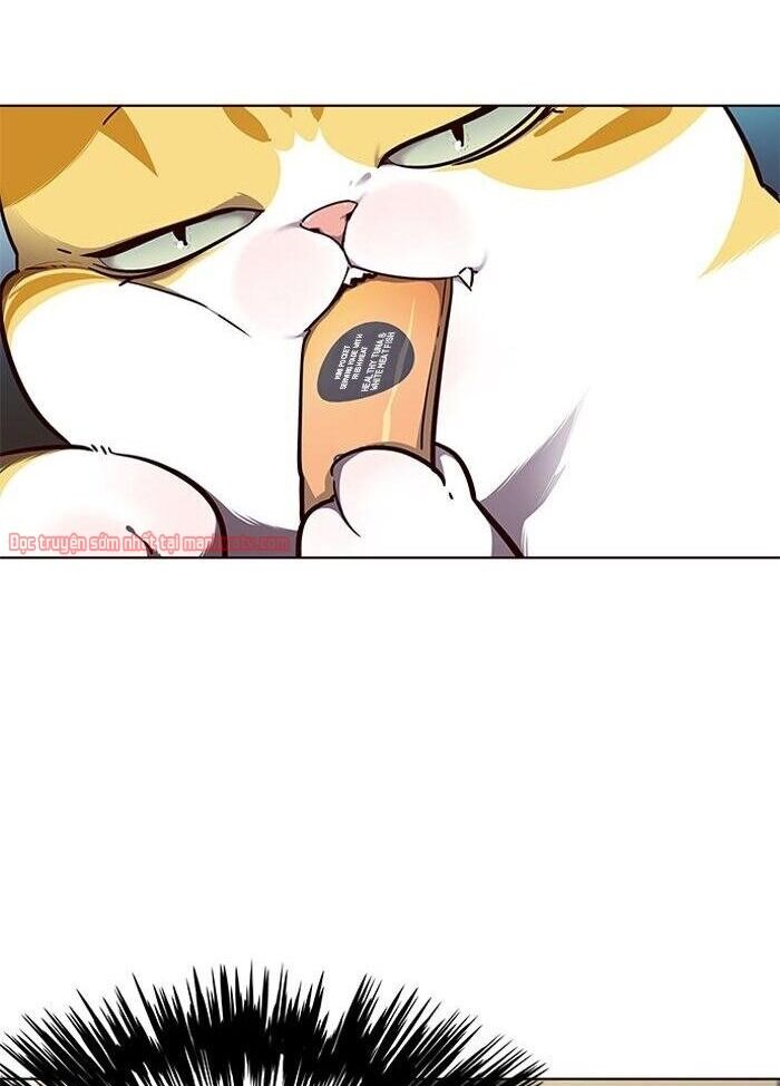 Hoá Thân Thành Mèo Chapter 50 - Trang 2