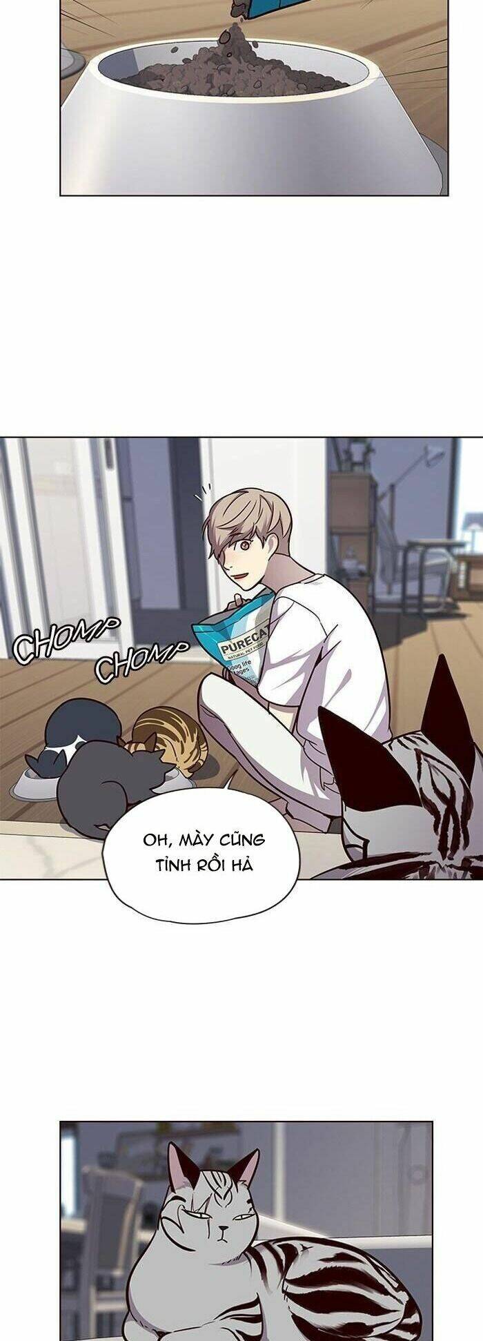 Hoá Thân Thành Mèo Chapter 55 - Trang 2