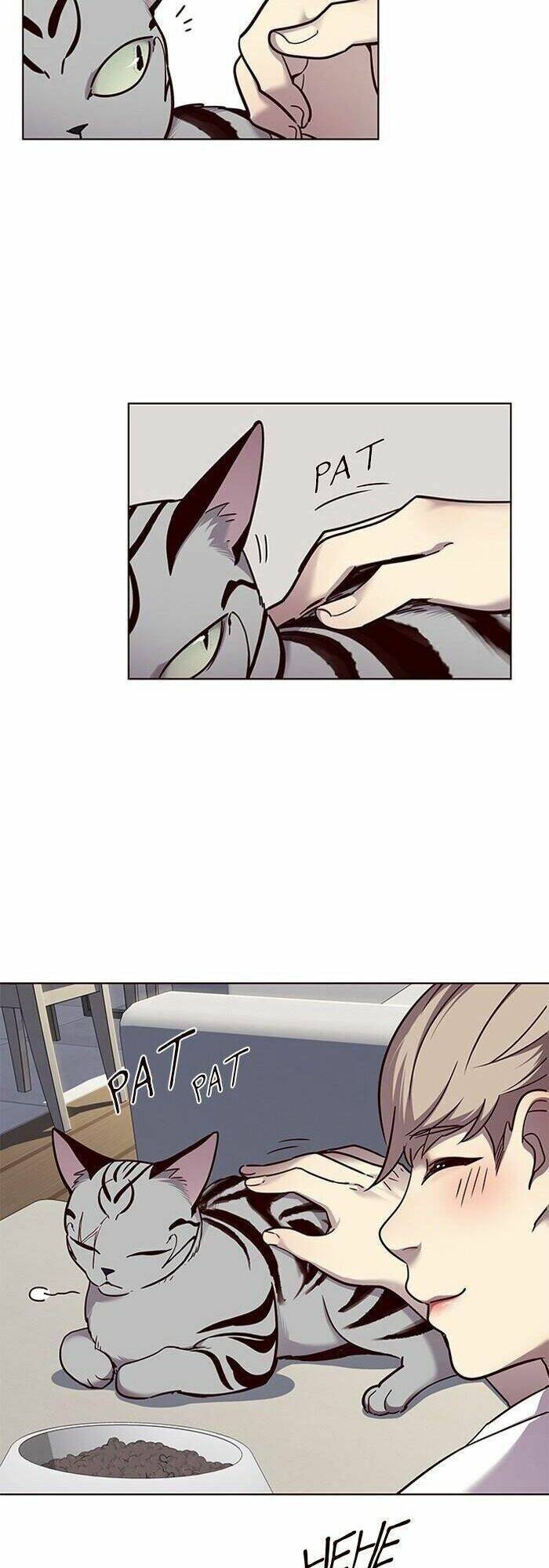 Hoá Thân Thành Mèo Chapter 55 - Trang 2