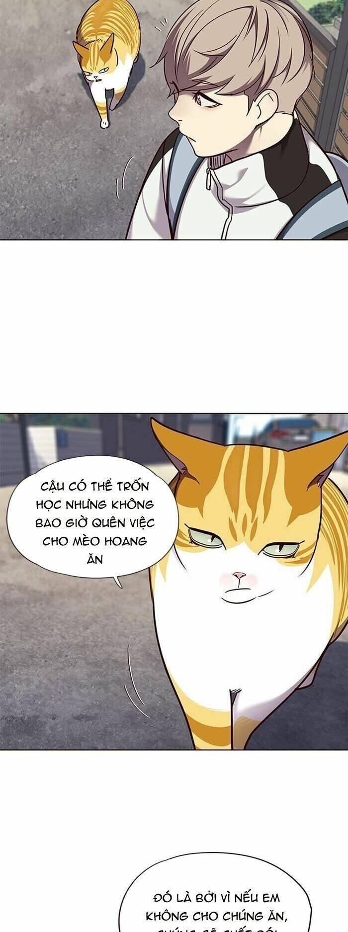 Hoá Thân Thành Mèo Chapter 55 - Trang 2