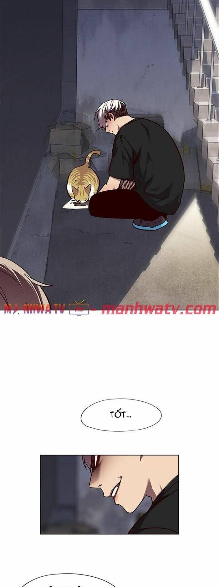 Hoá Thân Thành Mèo Chapter 55 - Trang 2