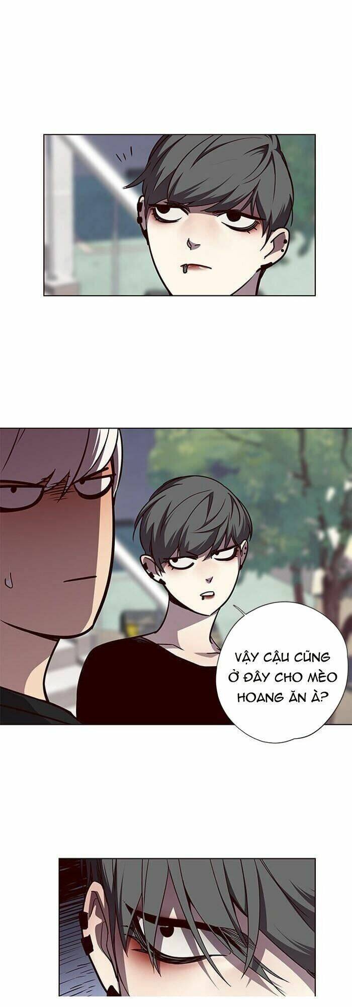 Hoá Thân Thành Mèo Chapter 55 - Trang 2