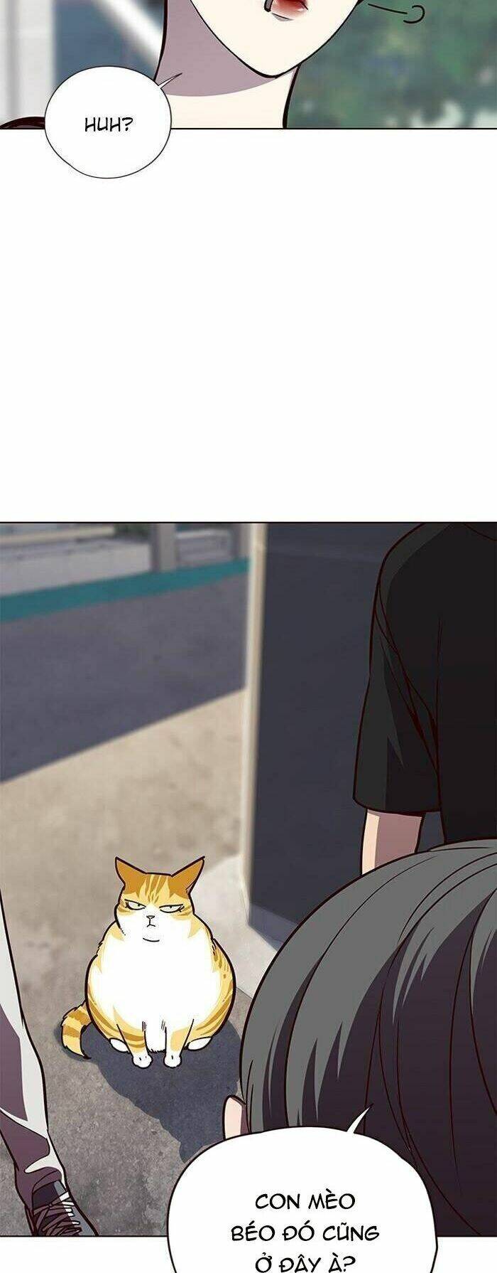 Hoá Thân Thành Mèo Chapter 55 - Trang 2