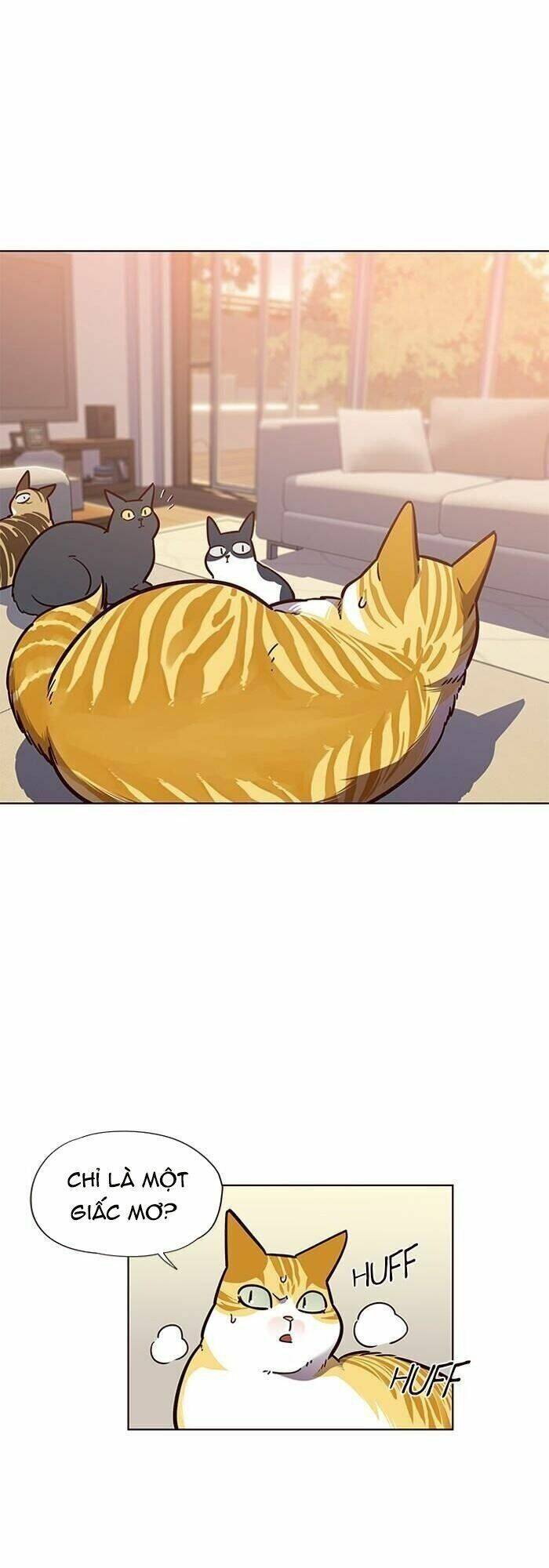 Hoá Thân Thành Mèo Chapter 56 - Trang 2