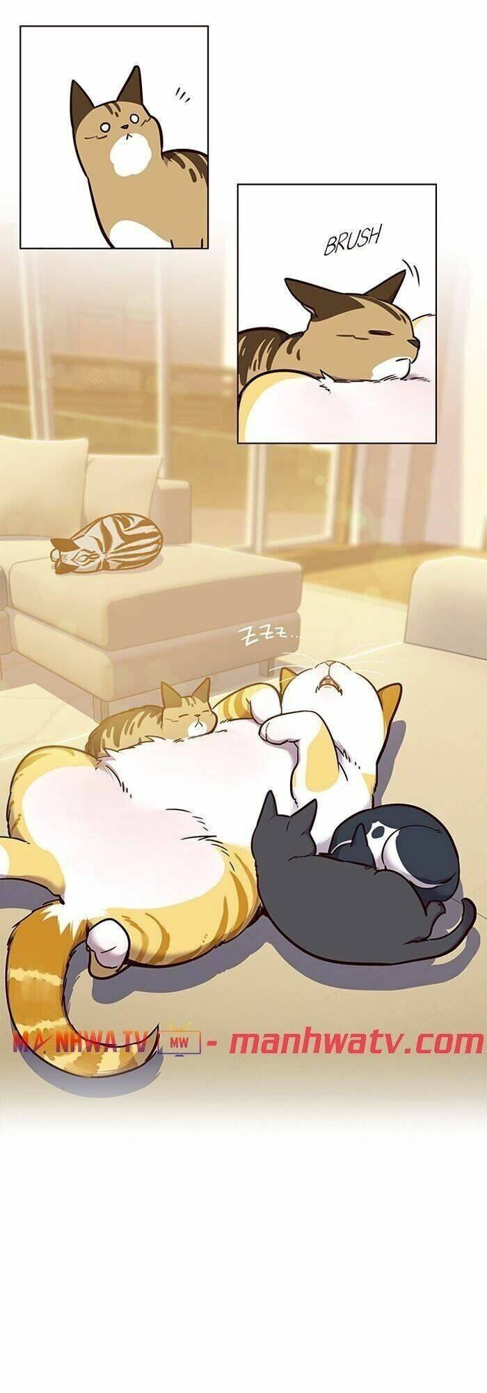 Hoá Thân Thành Mèo Chapter 56 - Trang 2