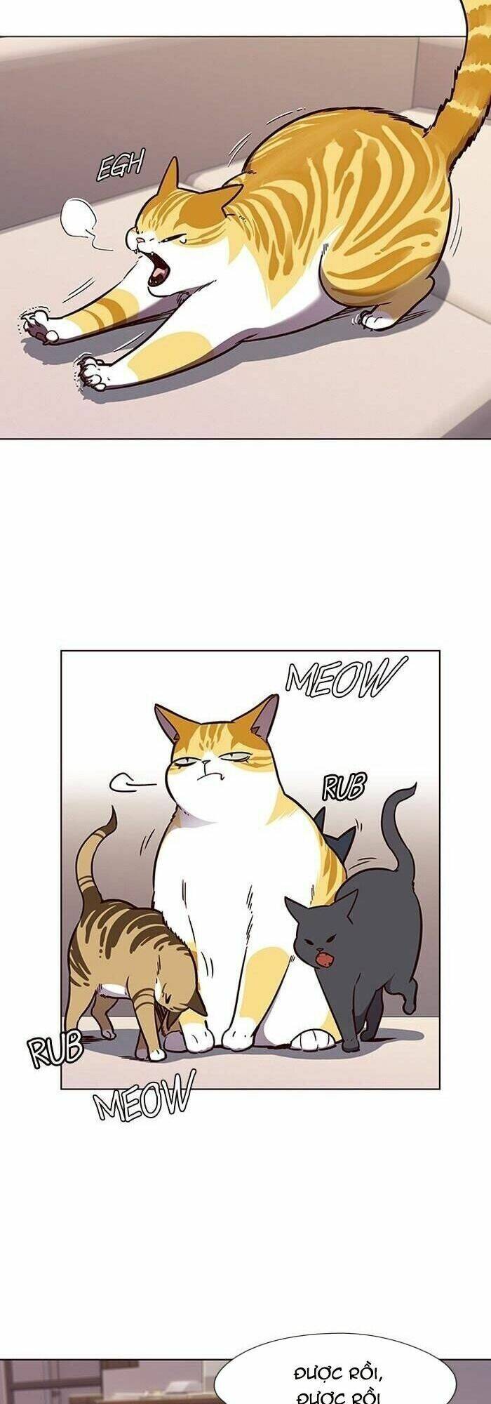 Hoá Thân Thành Mèo Chapter 56 - Trang 2