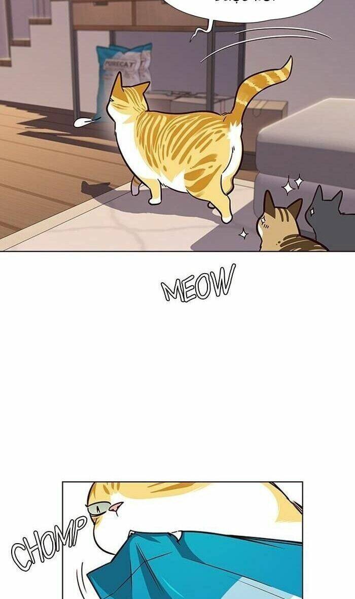 Hoá Thân Thành Mèo Chapter 56 - Trang 2