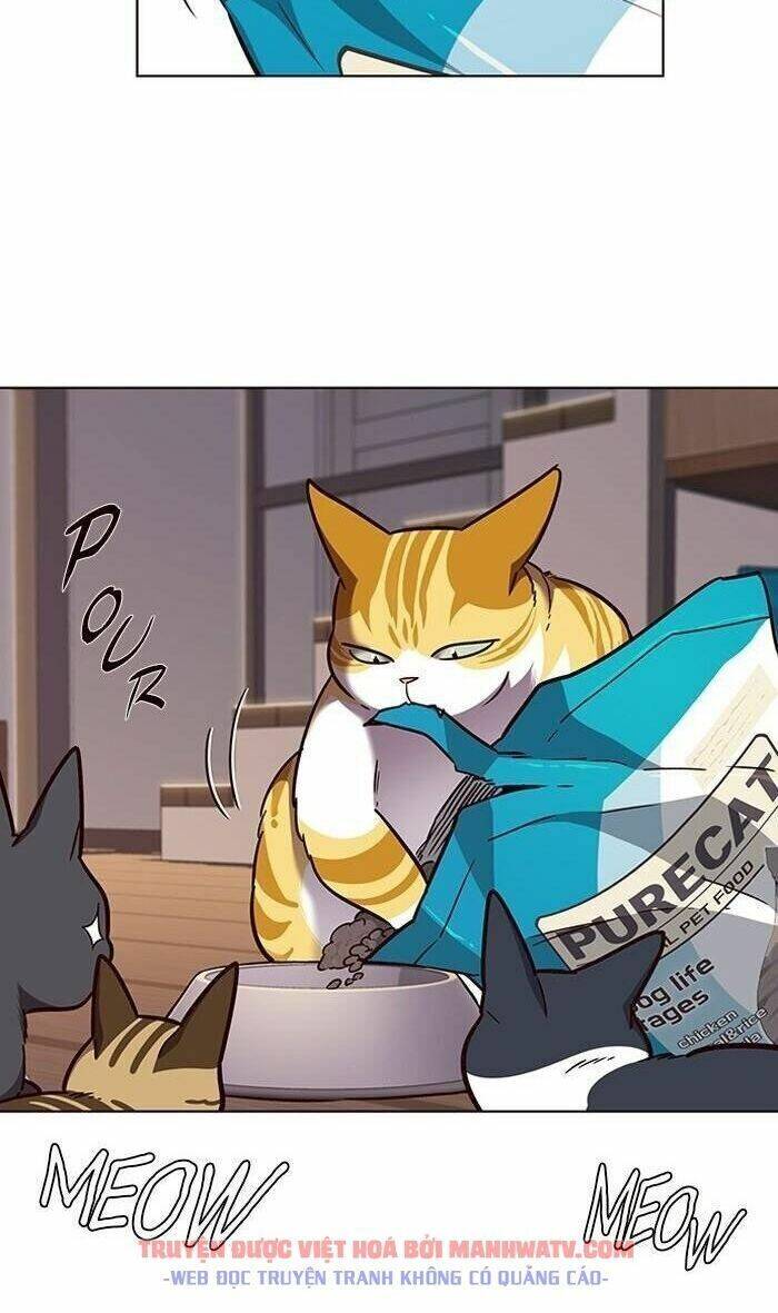 Hoá Thân Thành Mèo Chapter 56 - Trang 2