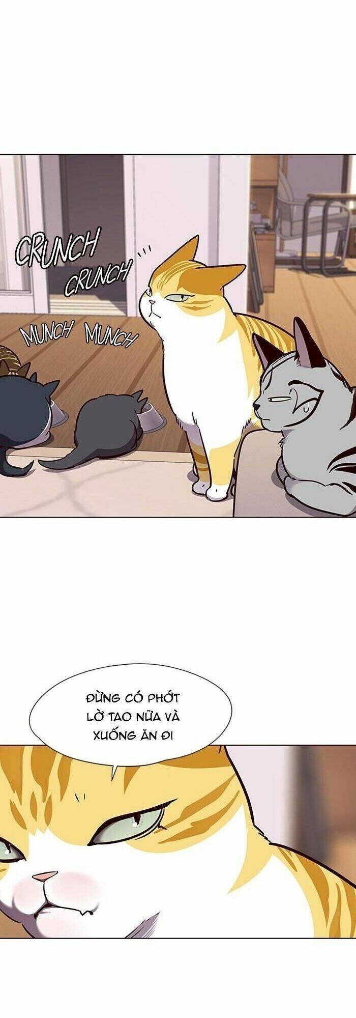 Hoá Thân Thành Mèo Chapter 56 - Trang 2